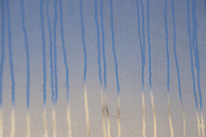 rbl 2025-2 Poètes alémaniques