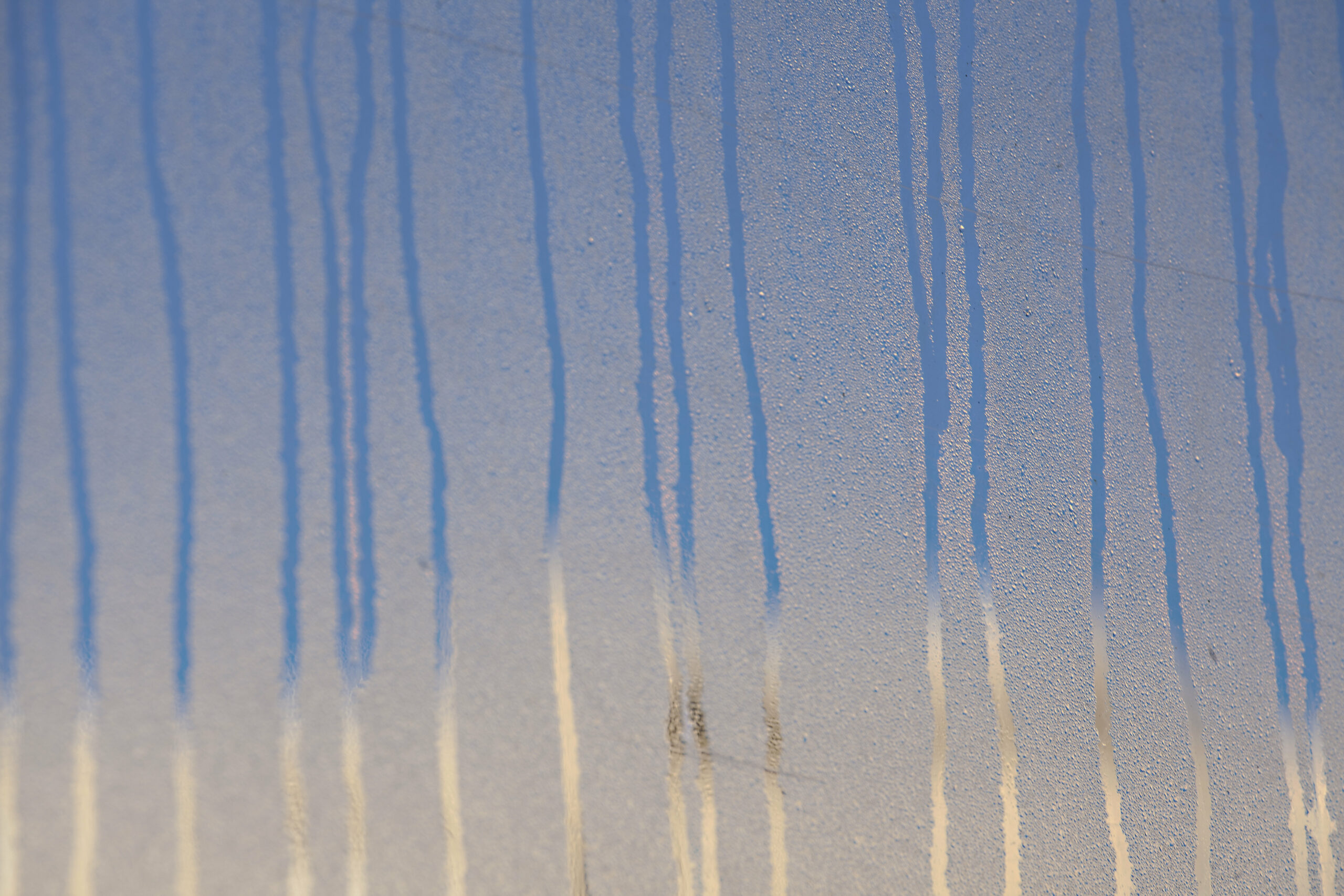 rbl 2025-2 Poètes alémaniques